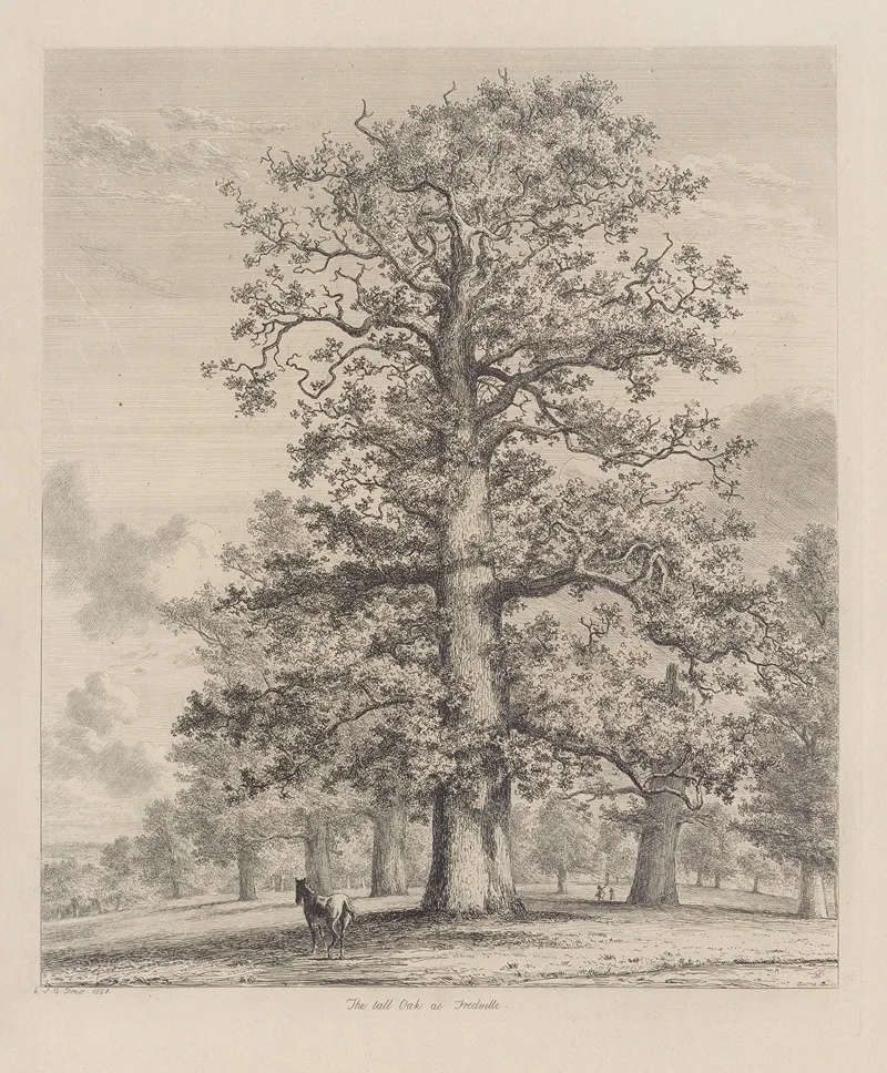 The Tall Oak At Fredville Wall Art by Jacob George Strutt - High-Resolution Digital Print