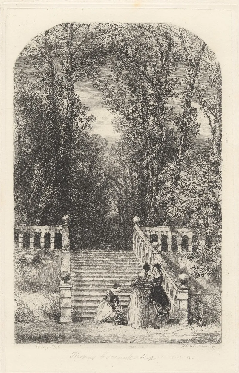 The Terrace 3