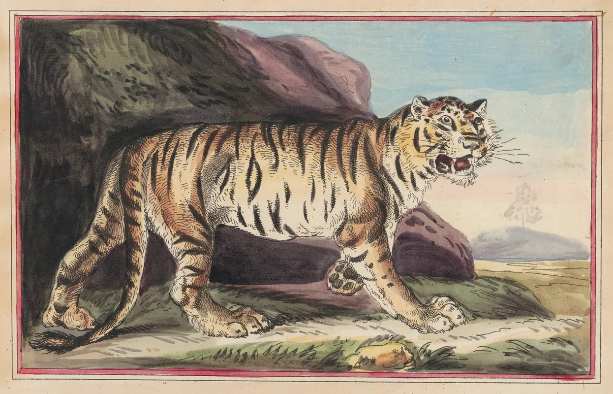 The Tiger Wall Art by Thomas Rowlandson - High-Resolution Digital Print
