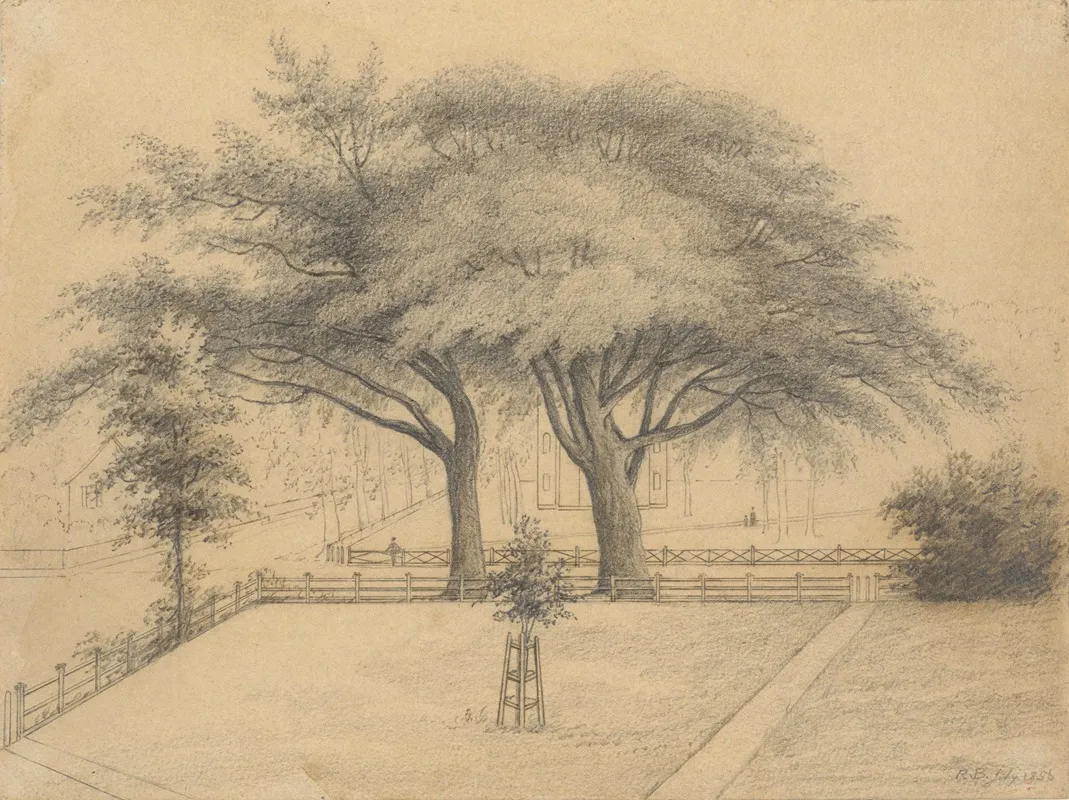 The Trees And Lawn At College And Elm Streets New Haven Wall Art by R. Bakewell - High-Resolution Digital Print