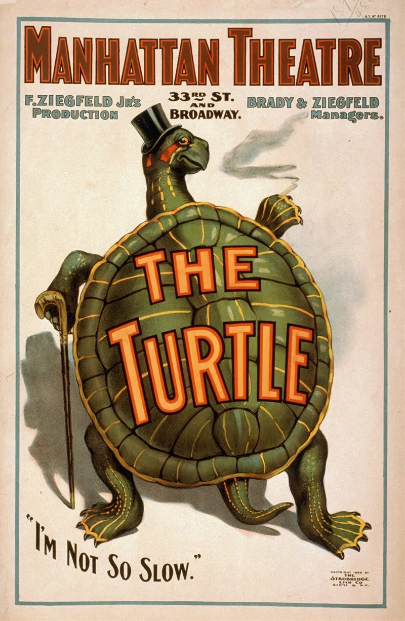 The Turtle