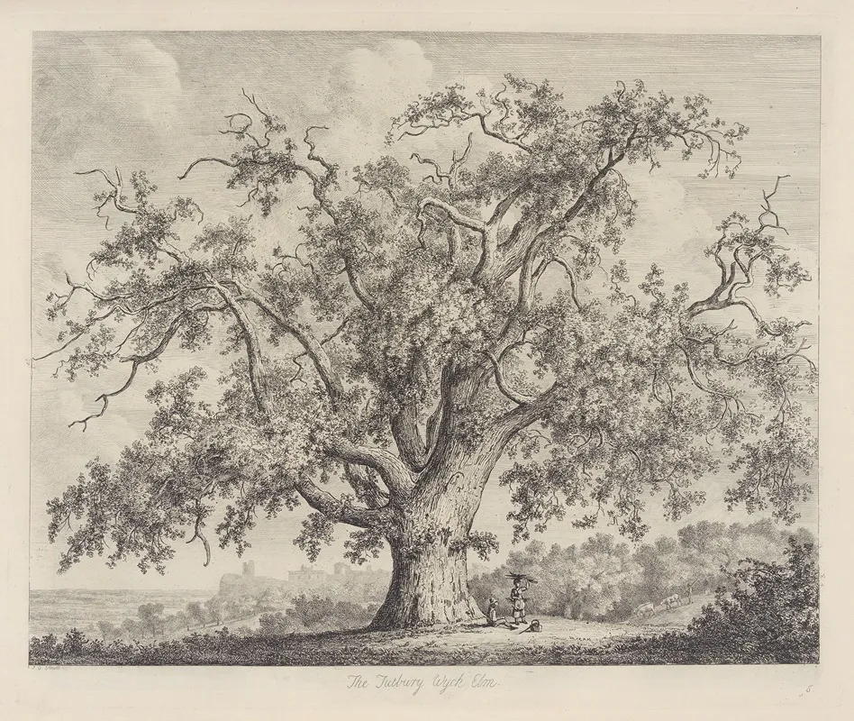 The Tutbury Wych Elm Wall Art by Jacob George Strutt - High-Resolution Digital Print