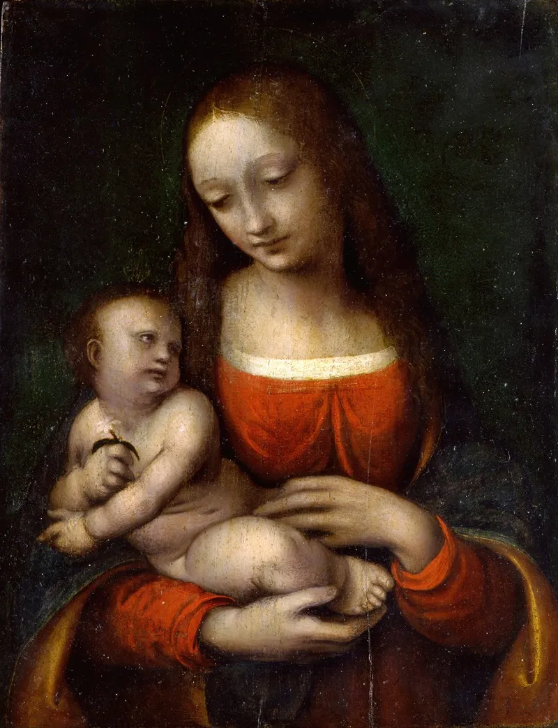 The Virgin And Child Icosidodecahedron Wall Art by Giampietrino (Giovanni Pietro Rizzoli) - High-Resolution Digital Print