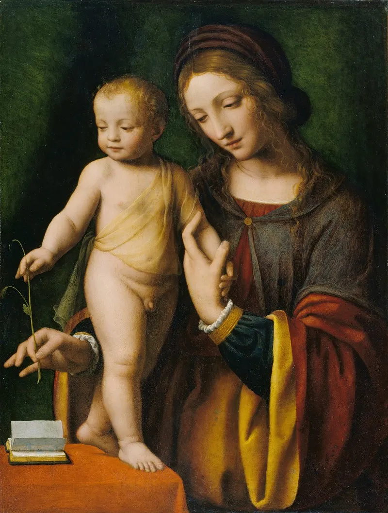 The Virgin And Child With A Columbine Wall Art by Bernardino Luini - High-Resolution Digital Print