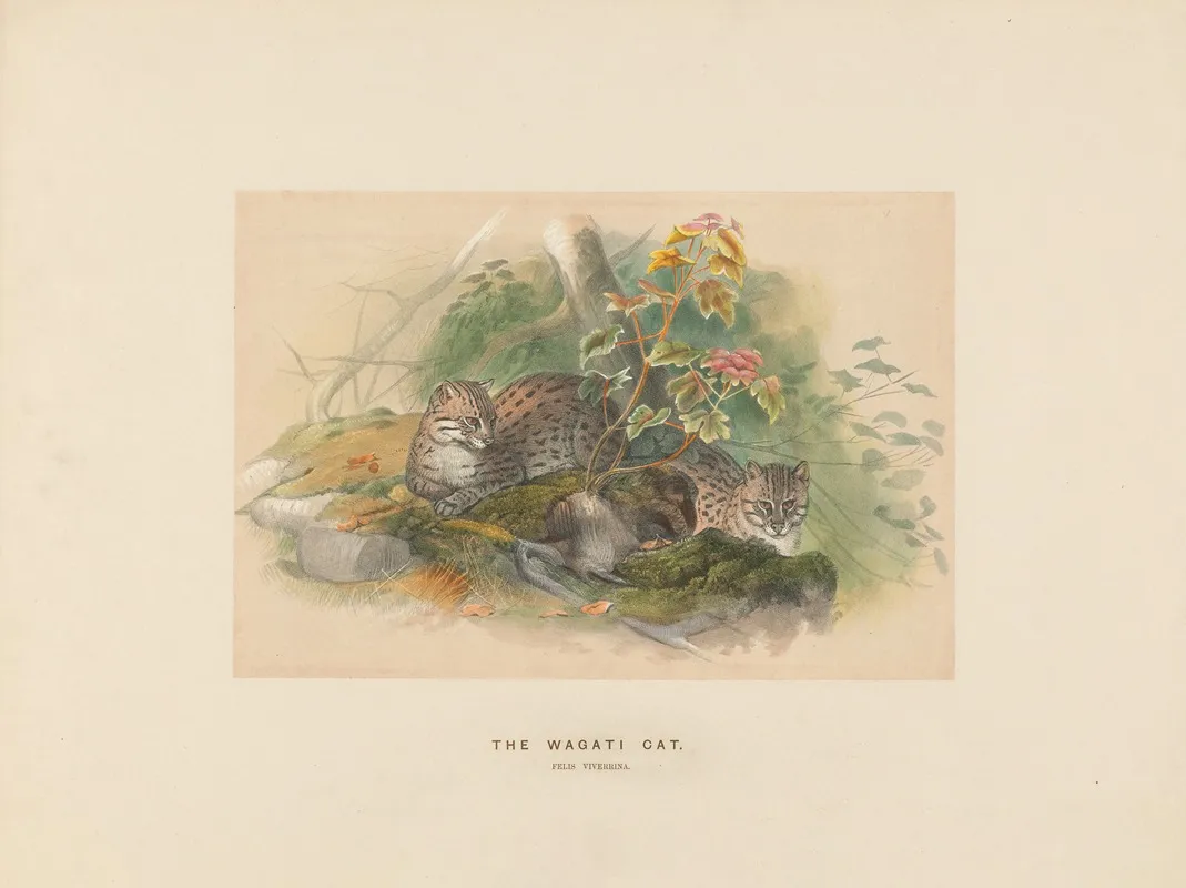 The Wagati Cat 2 Wall Art by Joseph Wolf - High-Resolution Digital Print