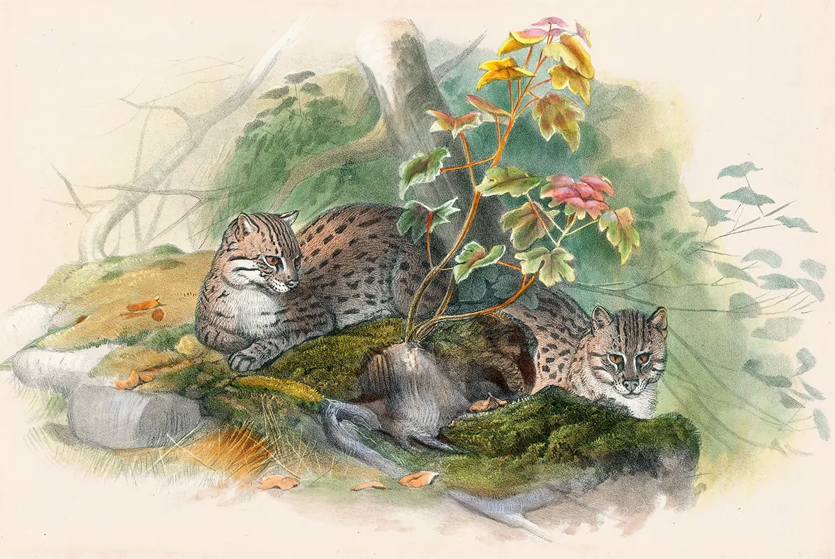 The Wagati Cat Wall Art by Joseph Wolf - High-Resolution Digital Print