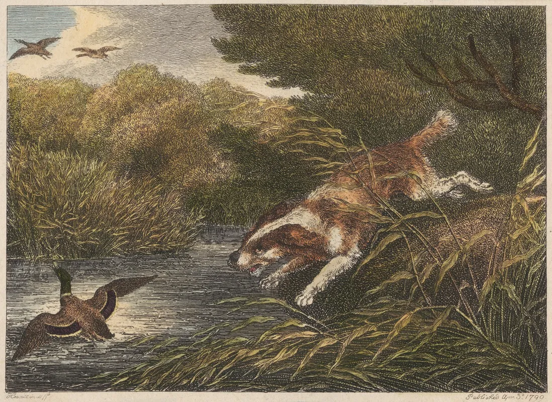 The Water Spaniel