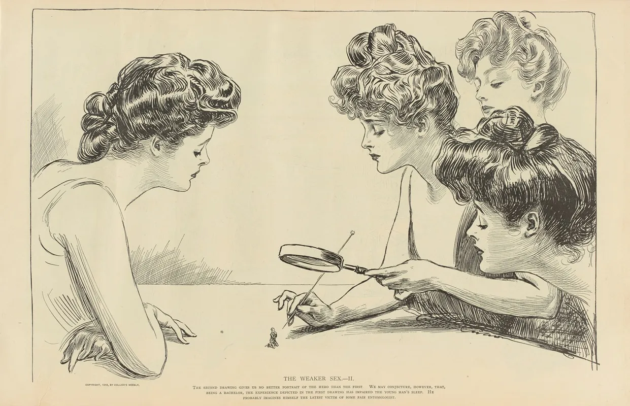 The Weaker Sex Ii 2 Wall Art by Charles Dana Gibson - High-Resolution Digital Print