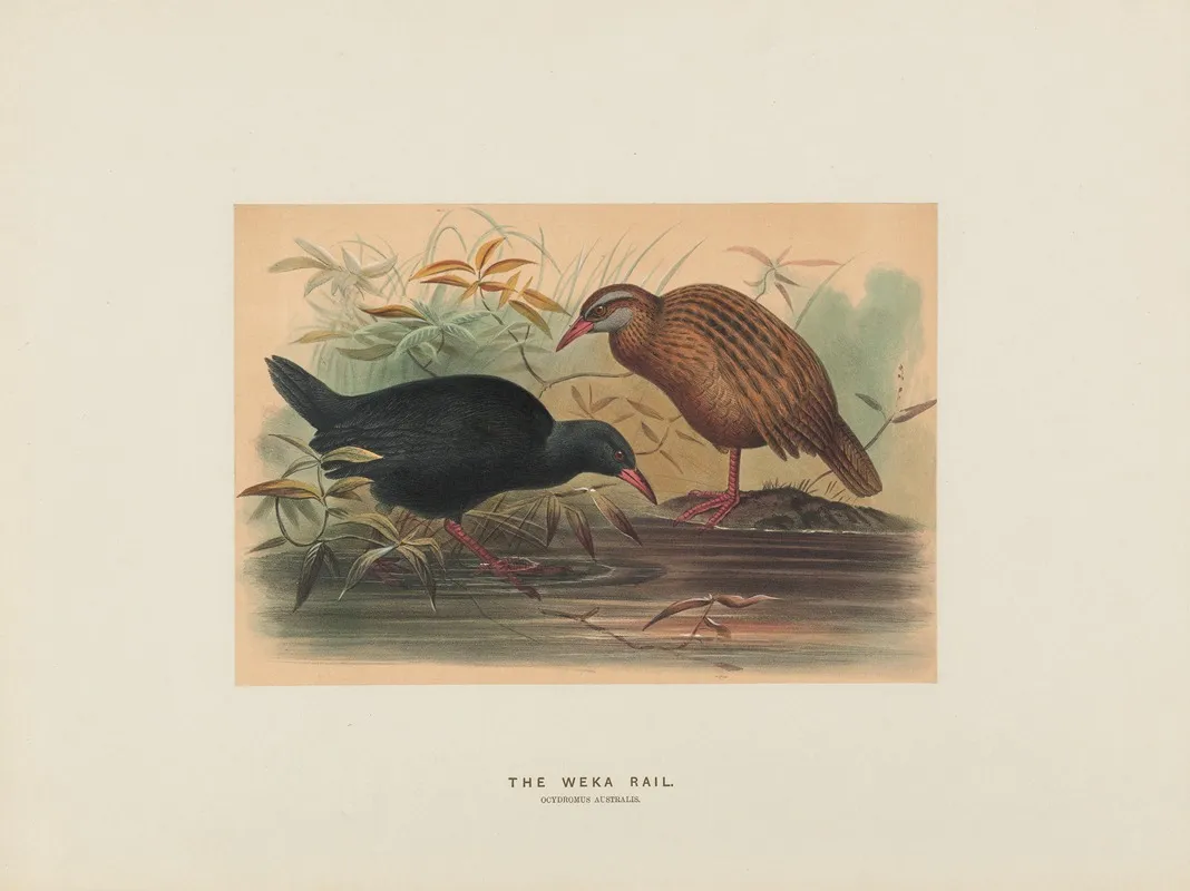 The Weka Rail 2 Wall Art by Joseph Wolf - High-Resolution Digital Print