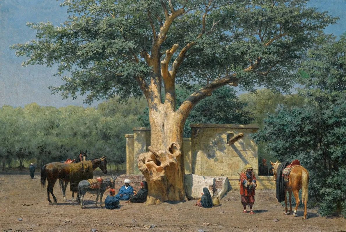 The Well And Sycamore In Ezbekieh Square Cairo