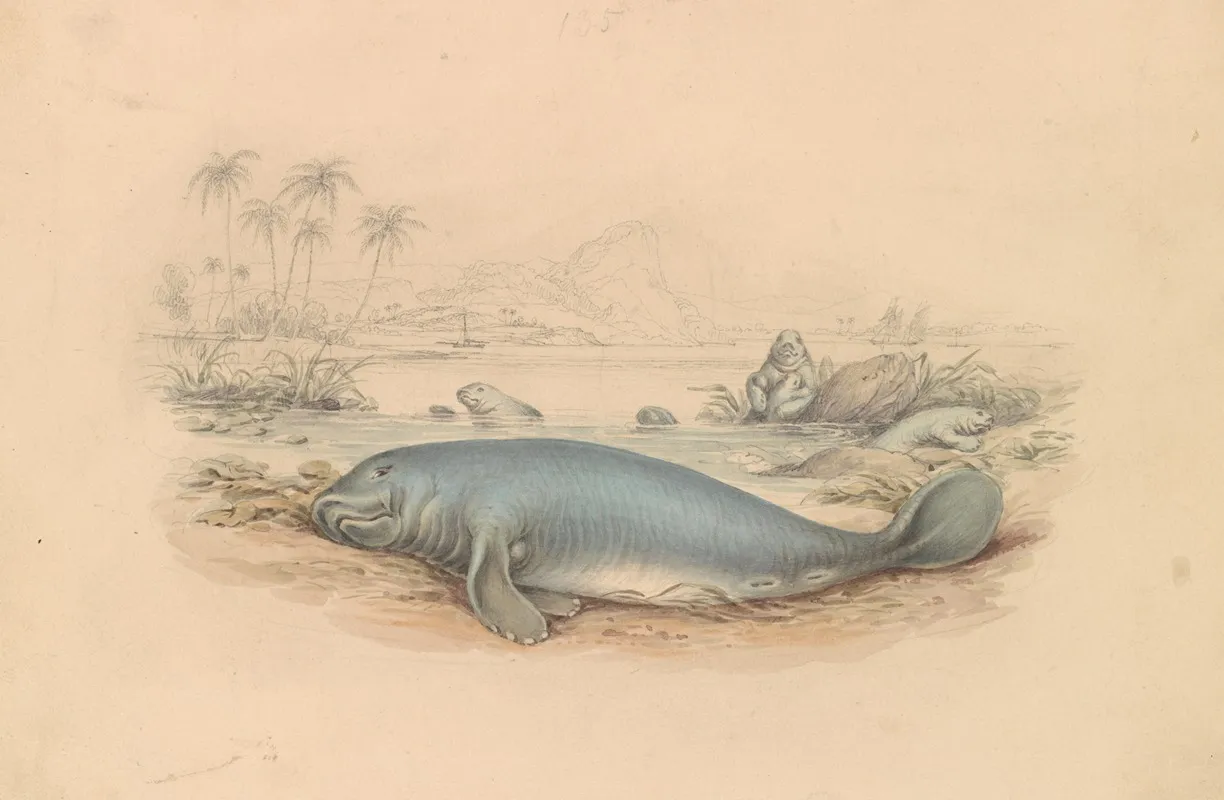 The West Indian Manatee Wall Art by James Stewart - High-Resolution Digital Print
