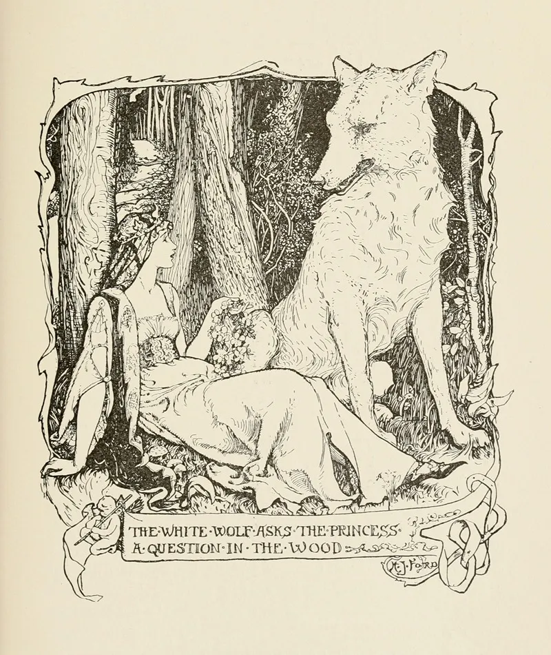 The White Wolf Asks The Princess A Question In The Wood