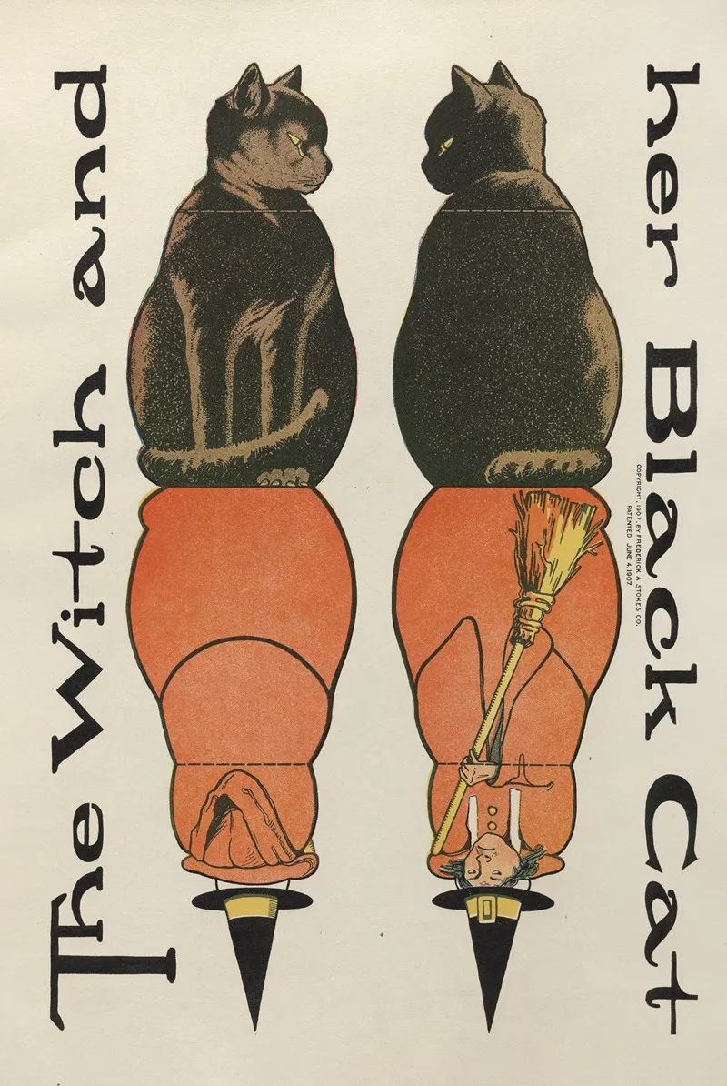 The Witch And The Black Cat