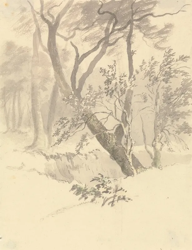 The Wood