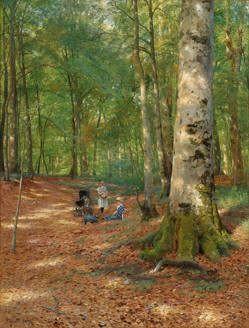 The Woodland Glade