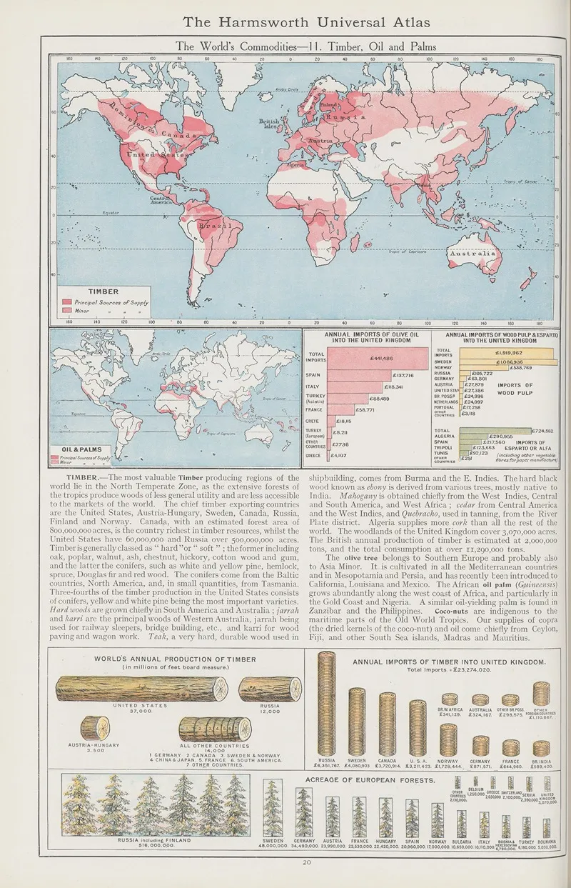 The Worlds Commodities 11 Timber Oil And Palms