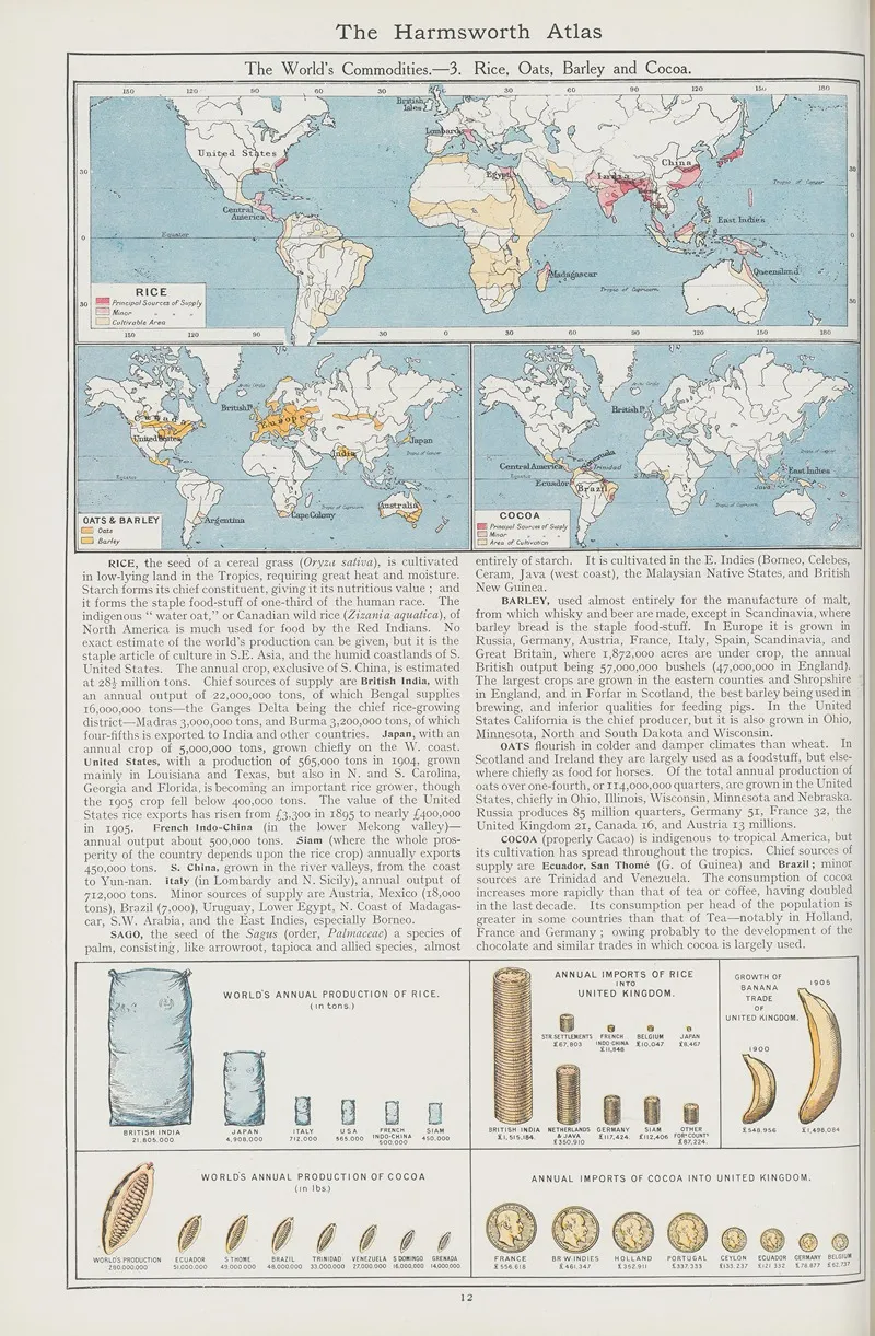 The Worlds Commodities 3 Rice Oats Barley And Cocoa