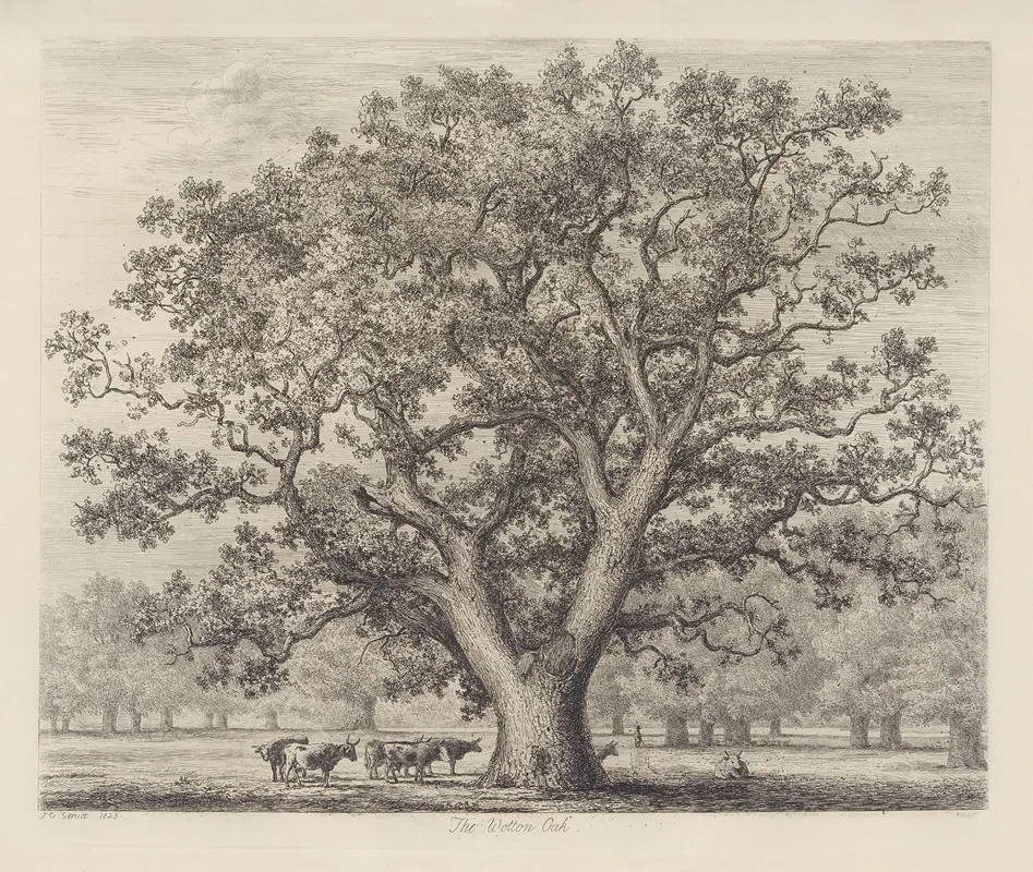 The Wotton Oak Wall Art by Jacob George Strutt - High-Resolution Digital Print
