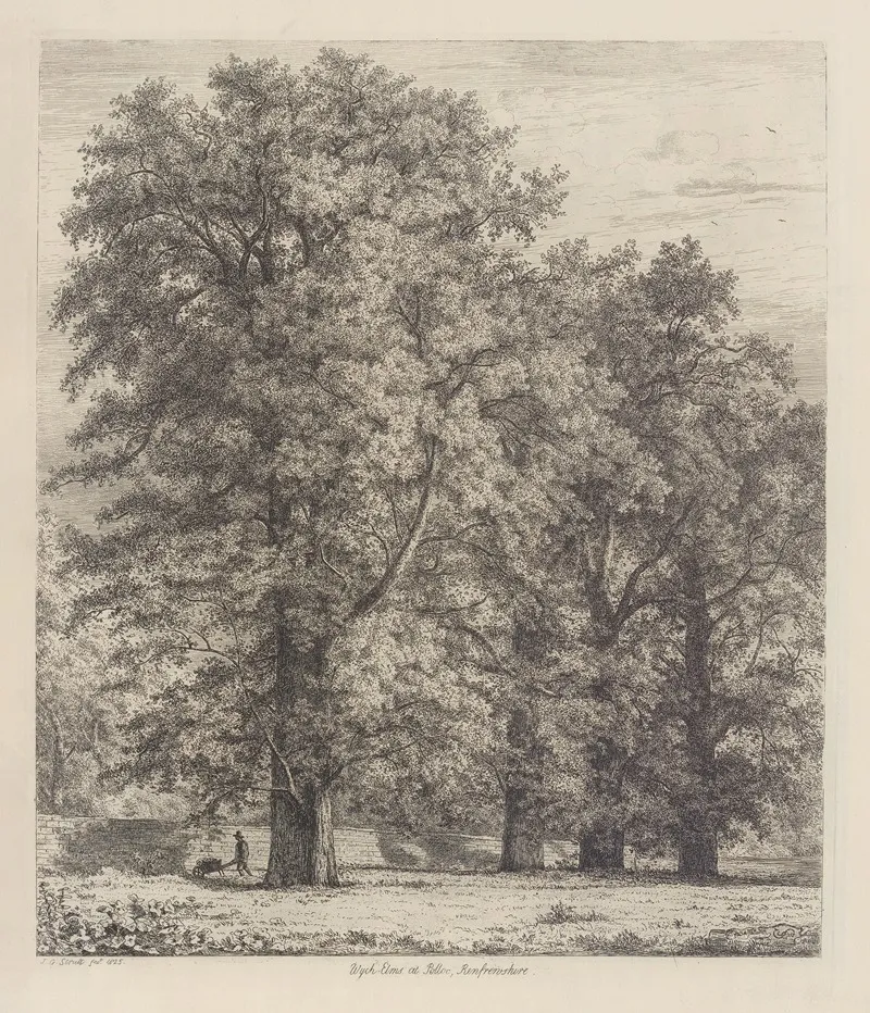 The Wych Elms At Polloc Wall Art by Jacob George Strutt - High-Resolution Digital Print