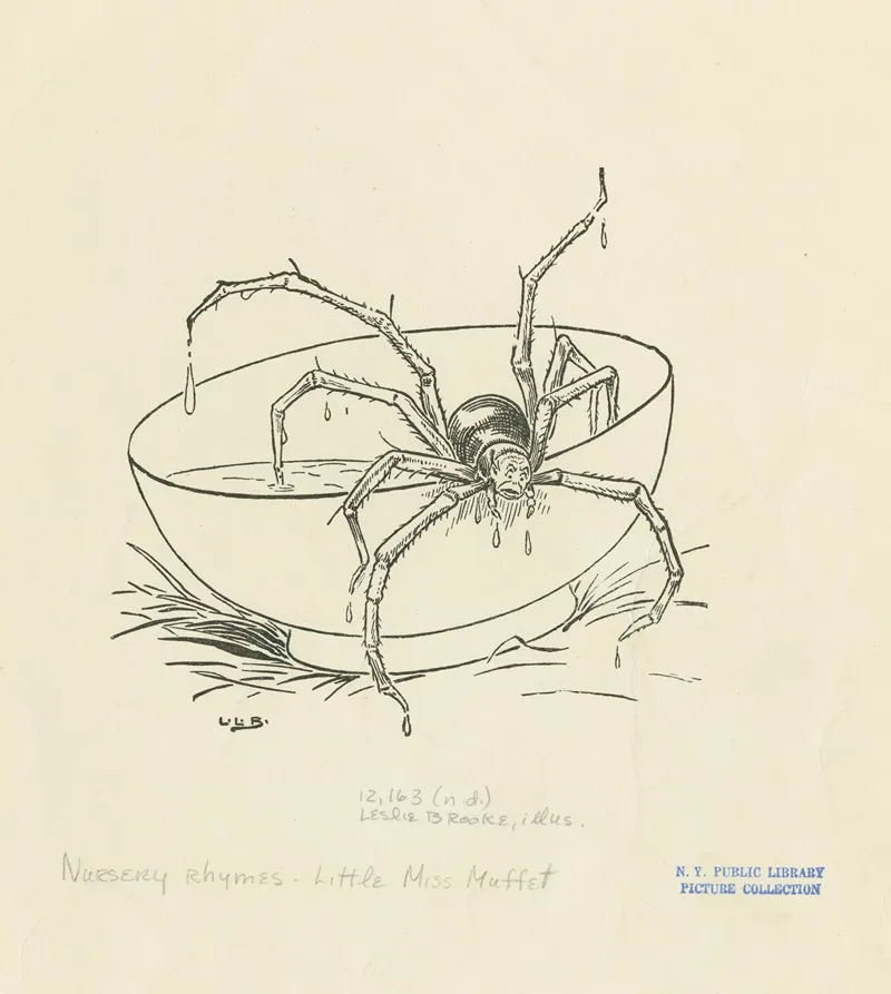 There Came A Big Spider