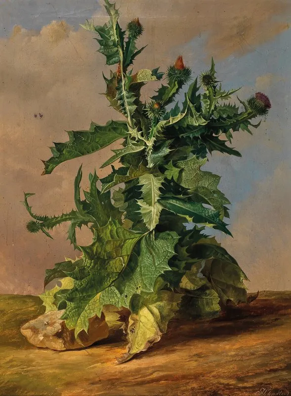 Thistles 2 Wall Art by Josef Schuster - High-Resolution Digital Print