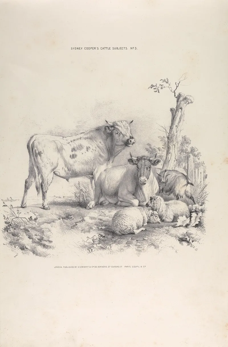 Thomas Sydney Coopers Cattle Subjects Pl 03