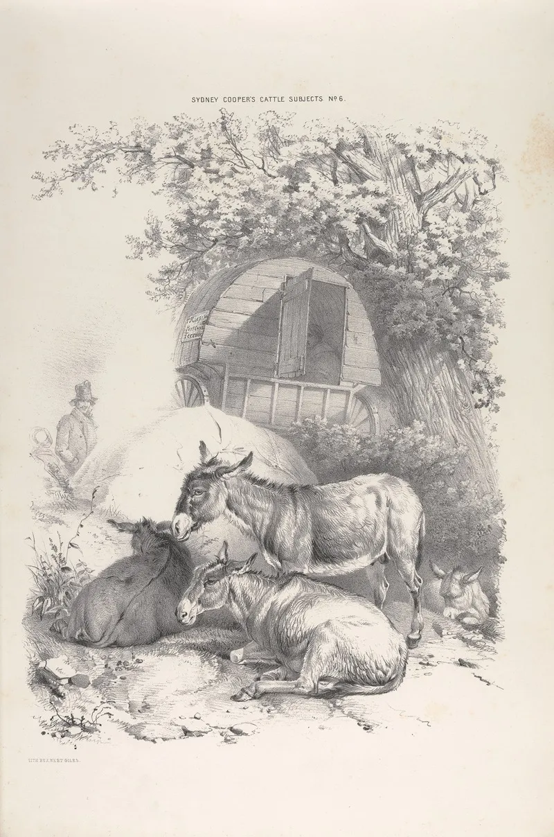 Thomas Sydney Coopers Cattle Subjects Pl 06