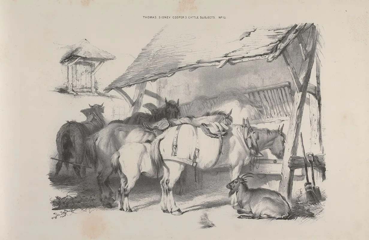 Thomas Sydney Coopers Cattle Subjects Pl 12