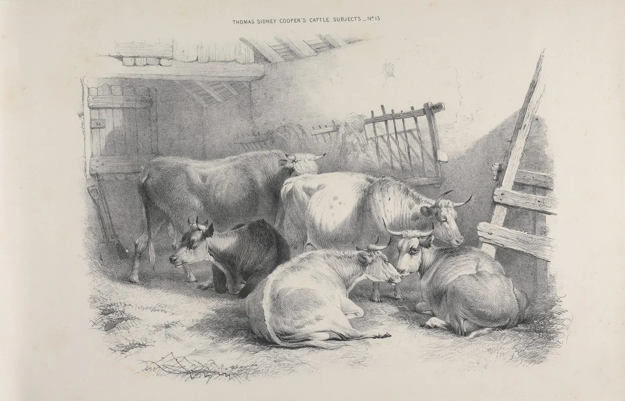Thomas Sydney Coopers Cattle Subjects Pl 13