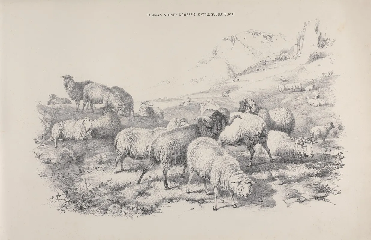 Thomas Sydney Coopers Cattle Subjects Pl 17