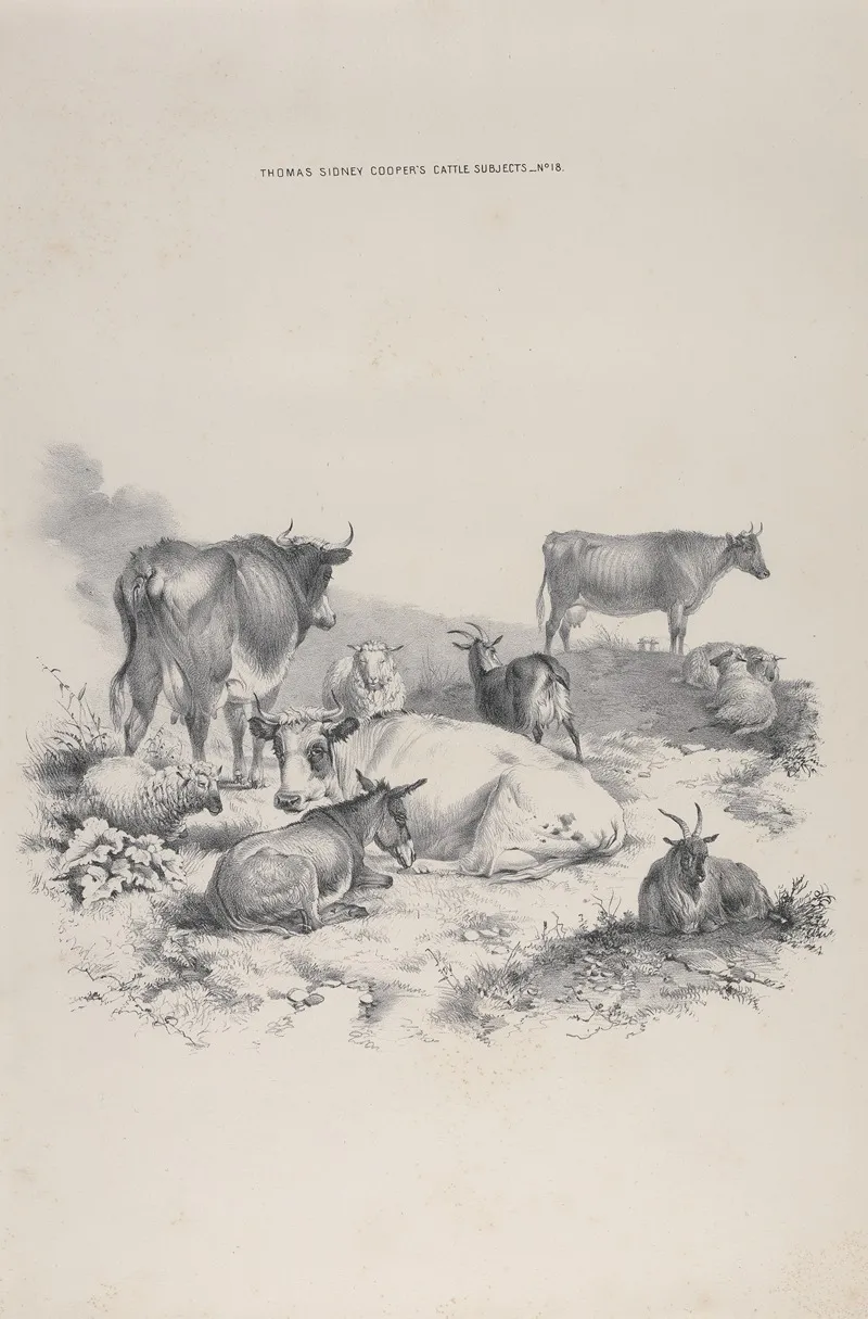 Thomas Sydney Coopers Cattle Subjects Pl 18
