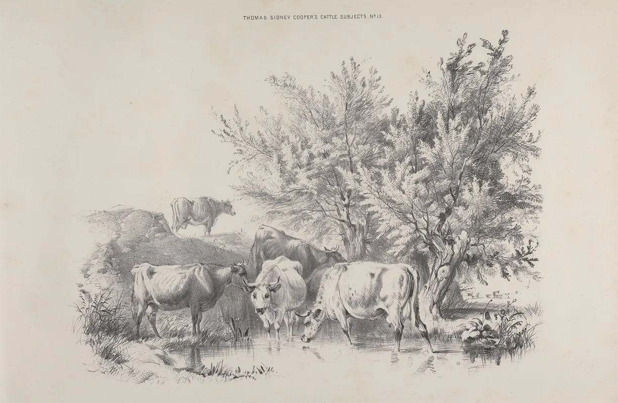 Thomas Sydney Coopers Cattle Subjects Pl 19