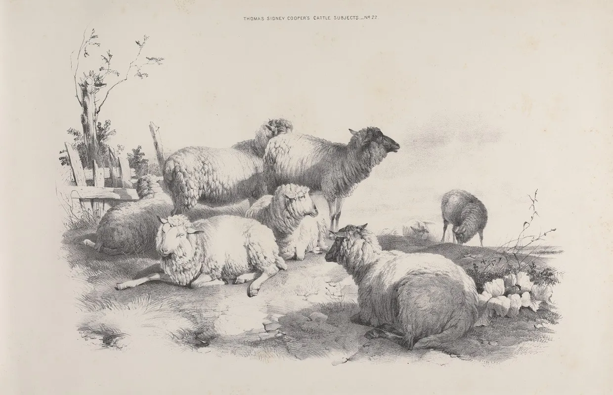 Thomas Sydney Coopers Cattle Subjects Pl 22