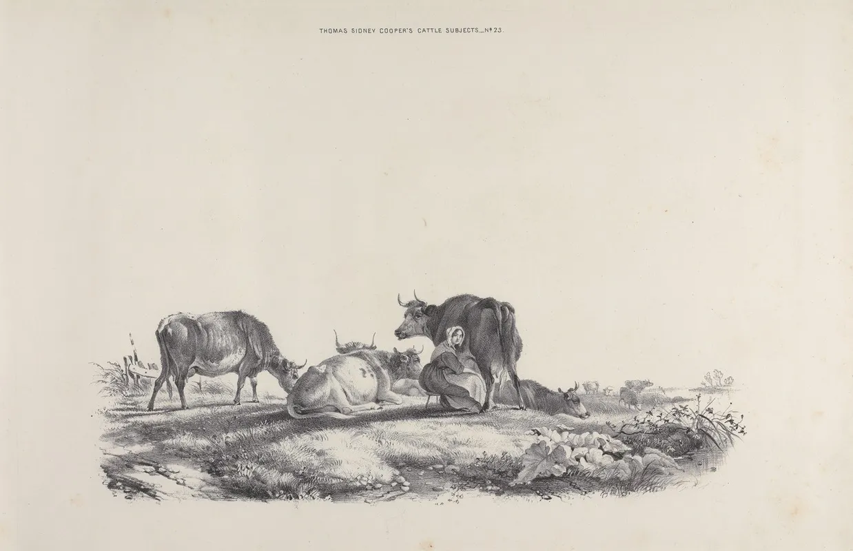 Thomas Sydney Coopers Cattle Subjects Pl 23