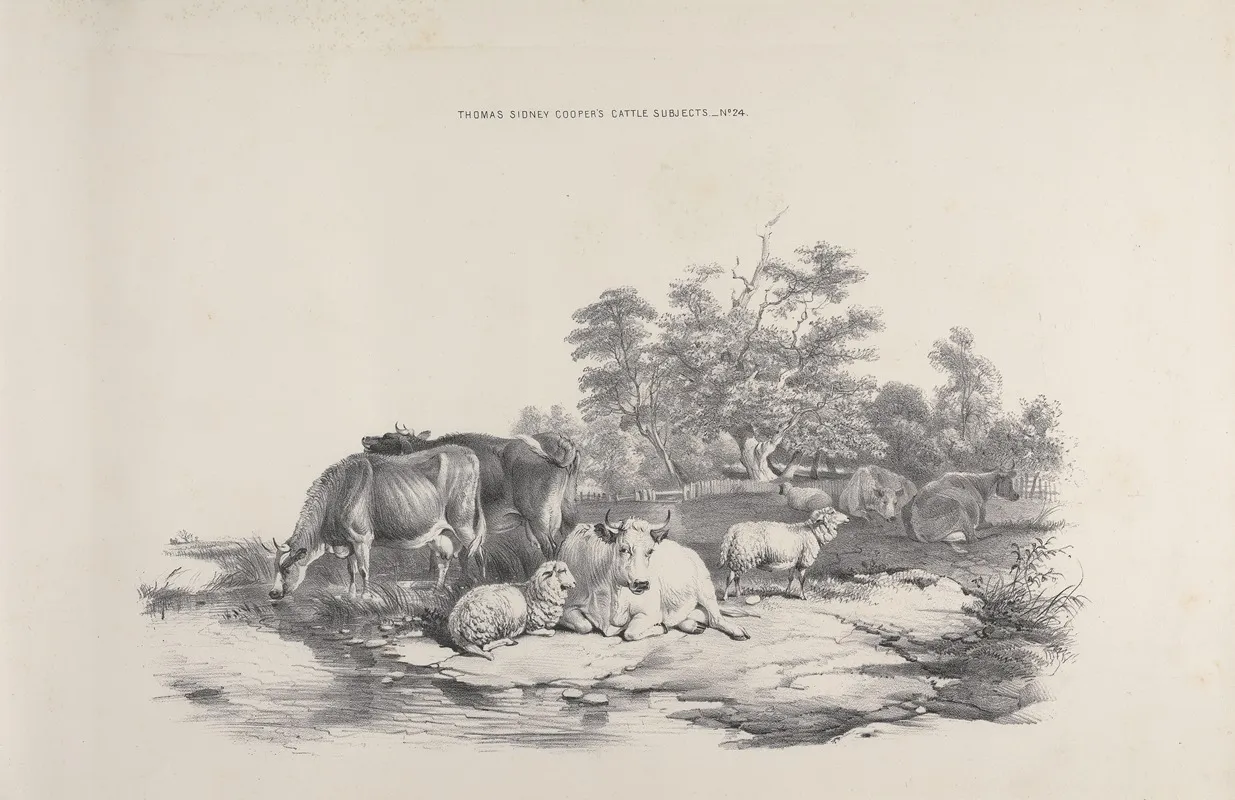 Thomas Sydney Coopers Cattle Subjects Pl 24
