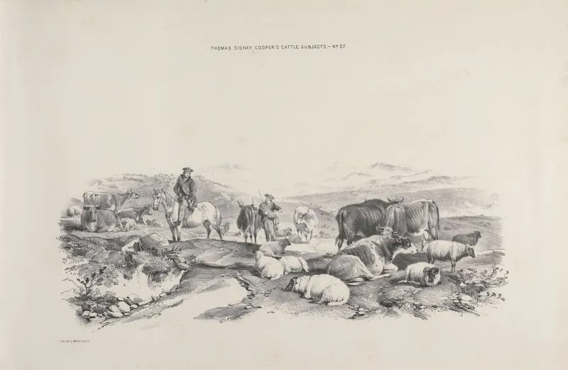 Thomas Sydney Coopers Cattle Subjects Pl 27