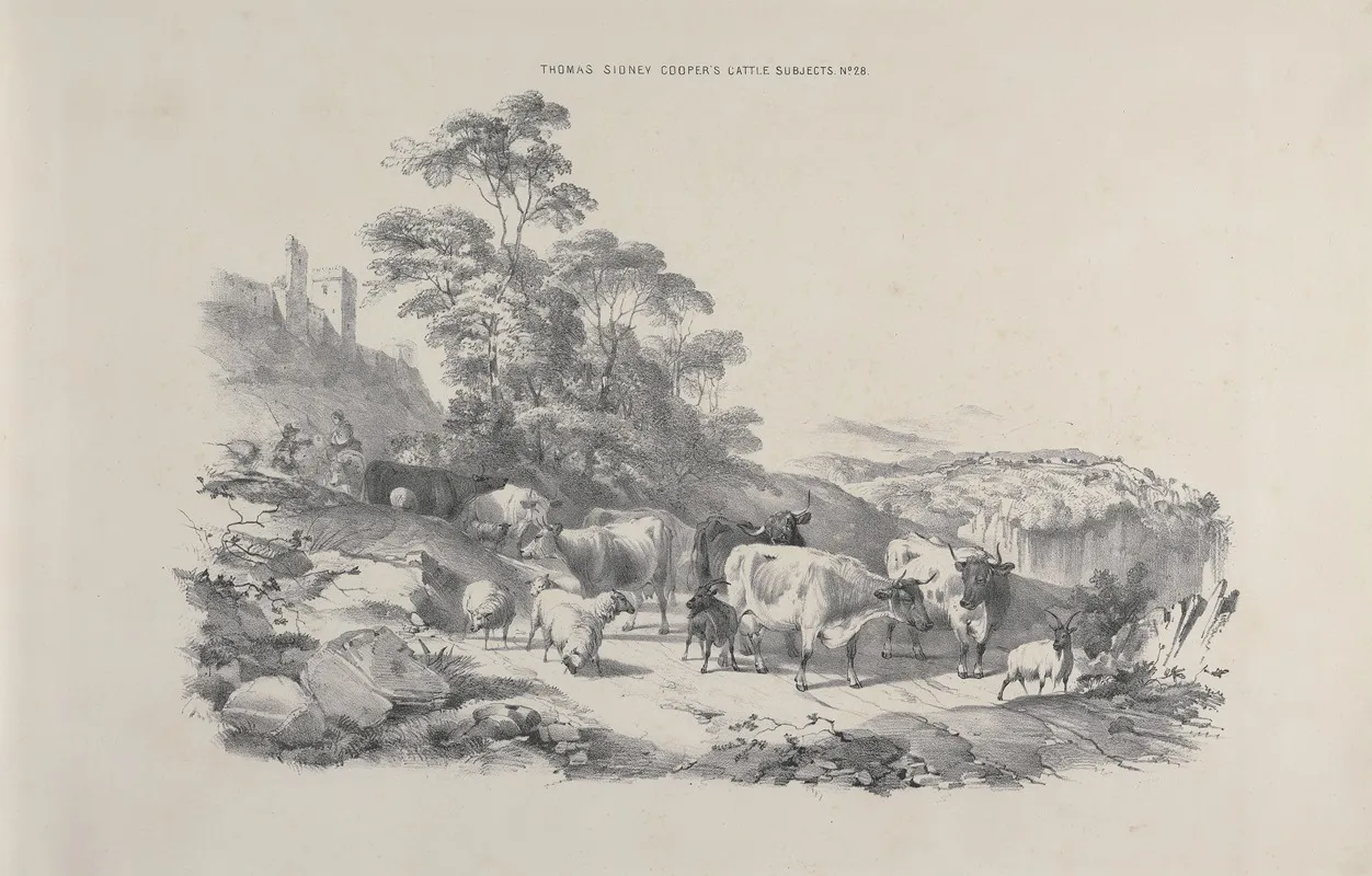 Thomas Sydney Coopers Cattle Subjects Pl 28