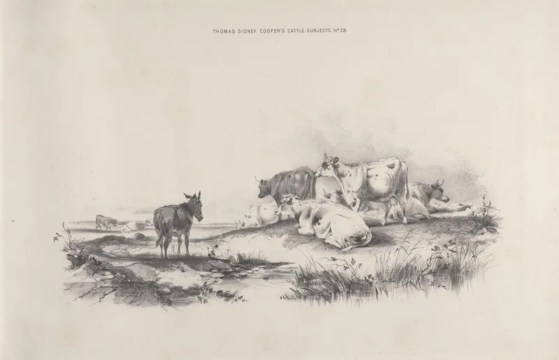 Thomas Sydney Coopers Cattle Subjects Pl 29