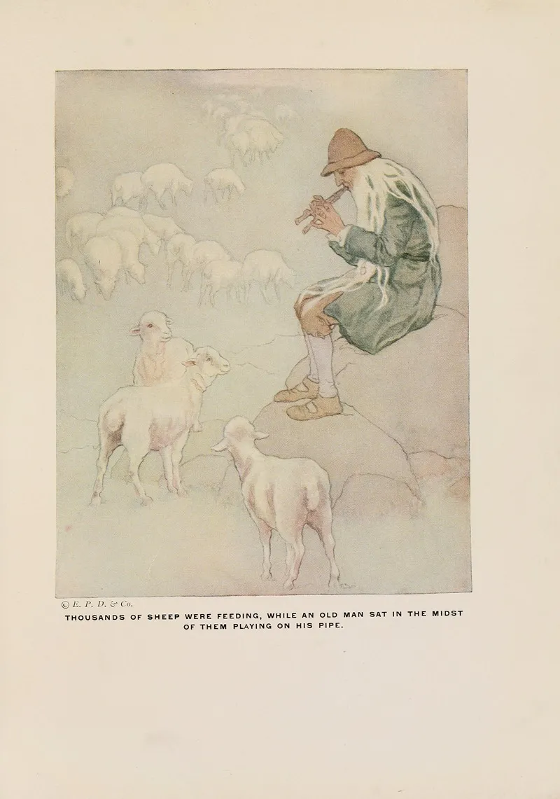 Thousands Of Sheep Were Feeding