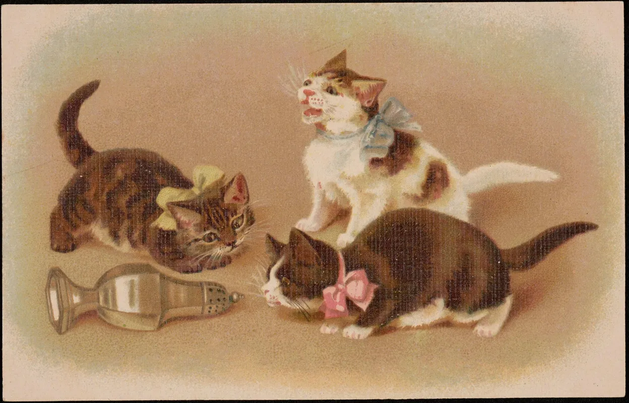 Three Cats Playing With A Silver Dish Wall Art by G.O.M - High-Resolution Digital Print