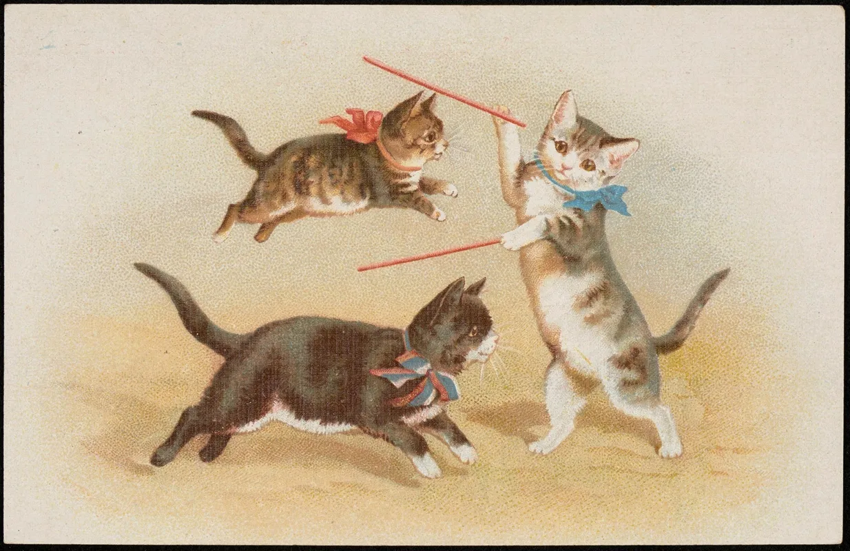 Three Cats Playing With Sticks Wall Art by G.O.M - High-Resolution Digital Print