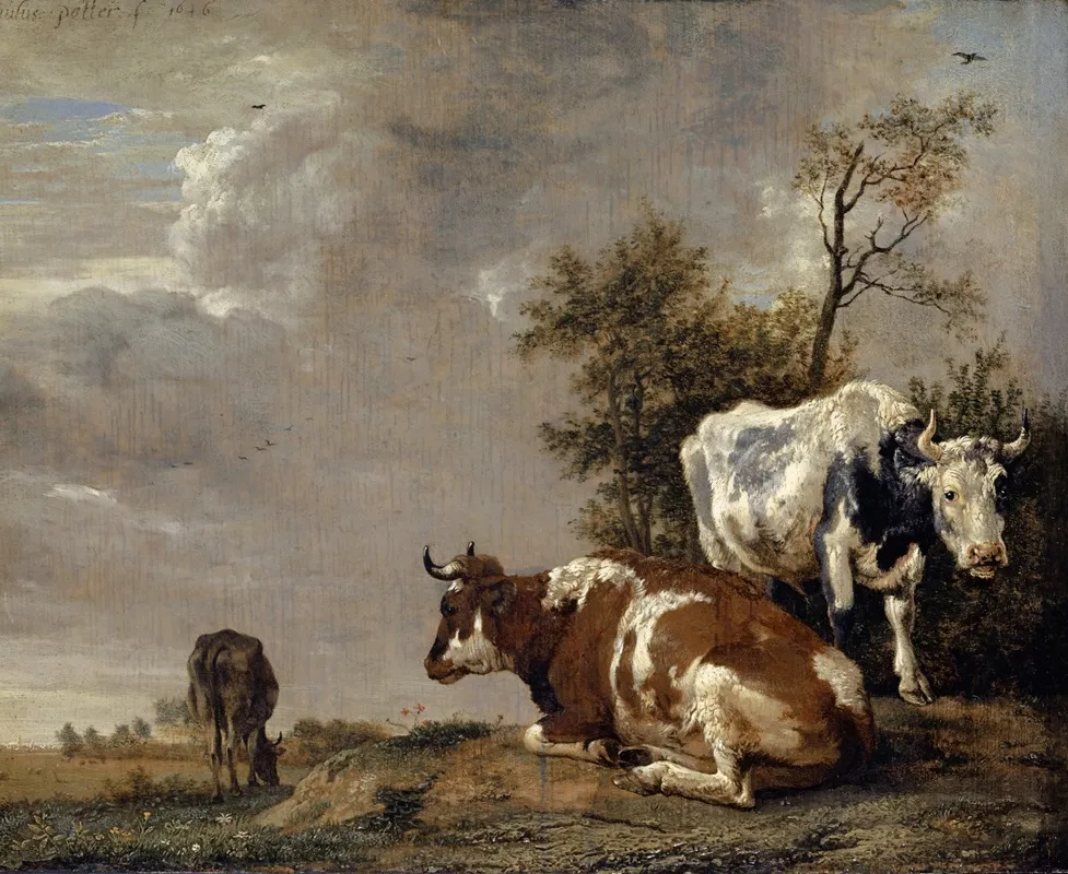 Three Cows On A Pasture