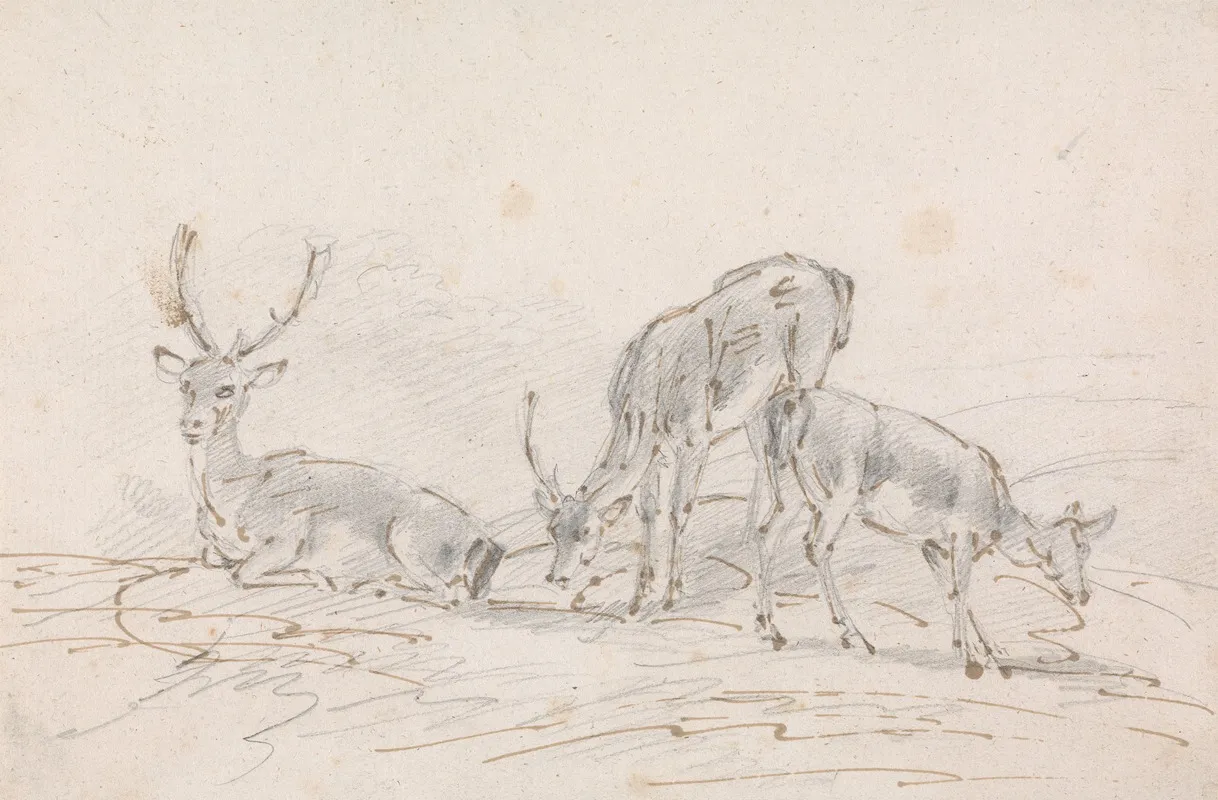 Three Deer