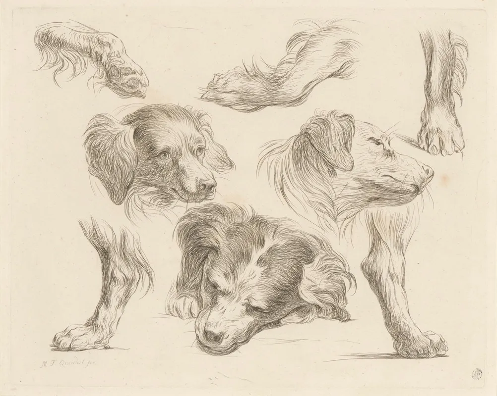 Three Dog Heads And Paws Wall Art by Martin Ferdinand Quadal - High-Resolution Digital Print