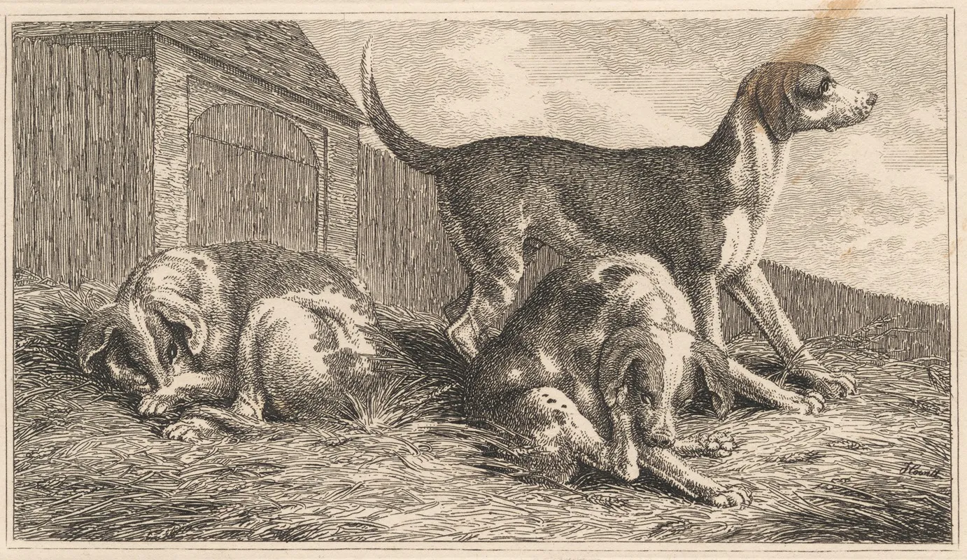 Three Dogs 3