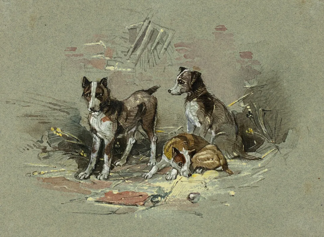 Three Dogs In An Alley
