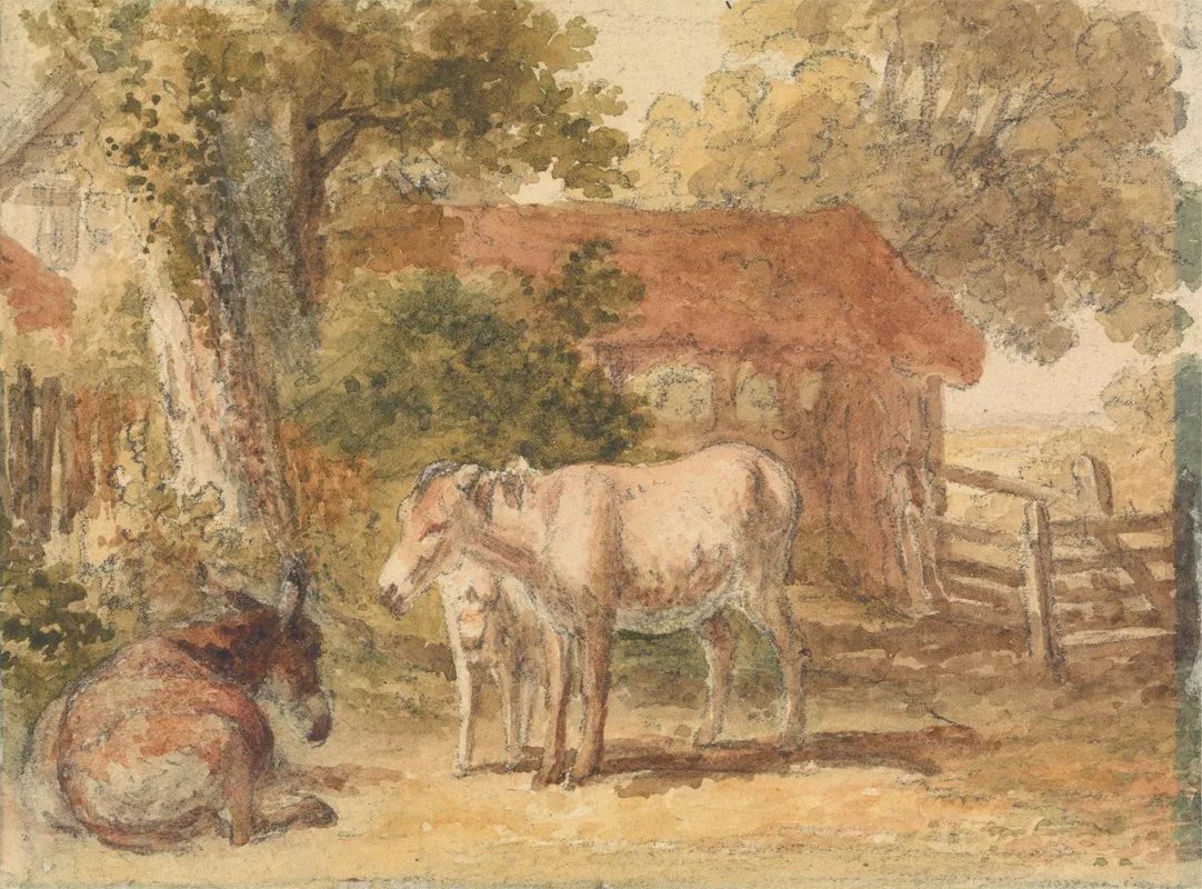 Three Donkeys