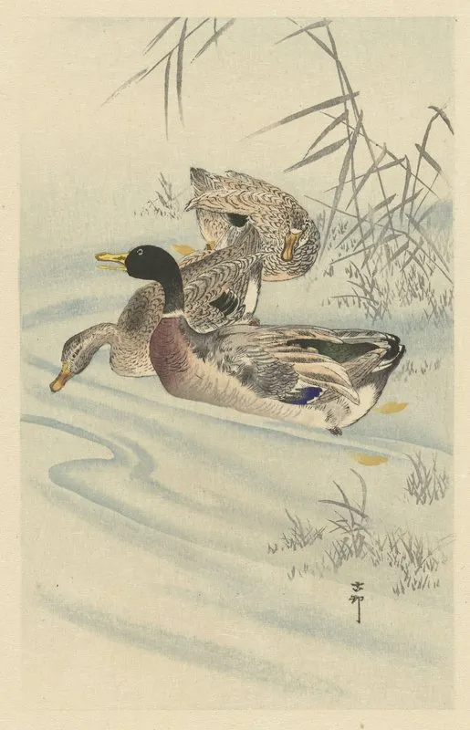 Three Ducks In Shallow Water With Reed Wall Art by Ohara Koson - High-Resolution Digital Print