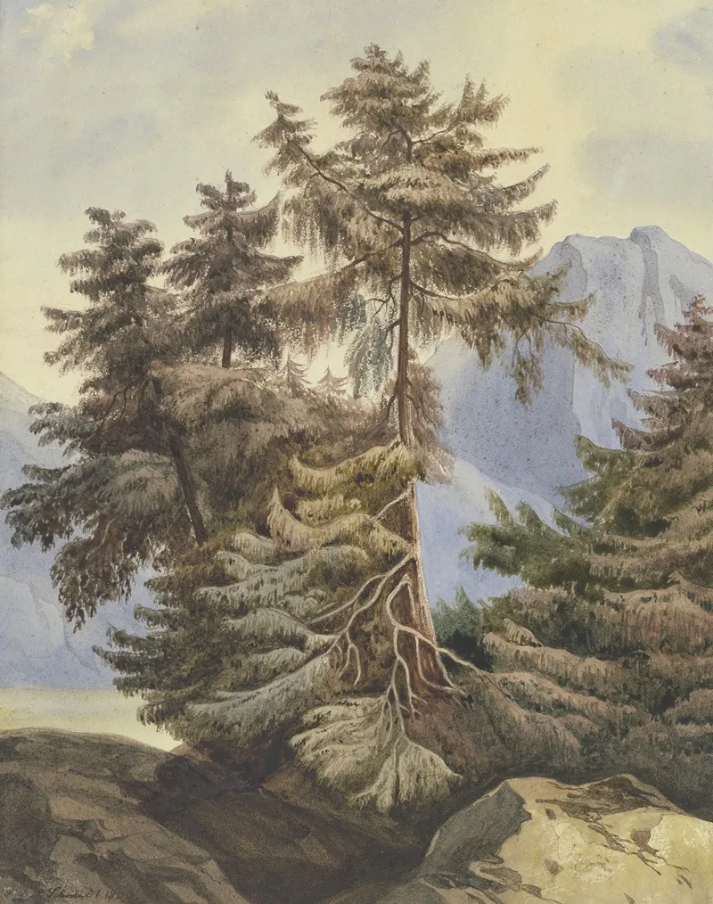 Three Fir Trees In The Mountains Wall Art by Ludwig Daniel Philipp Schmidt - High-Resolution Digital Print