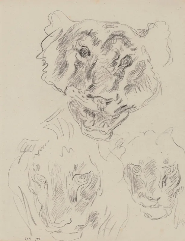 Three Heads Of Wild Animals